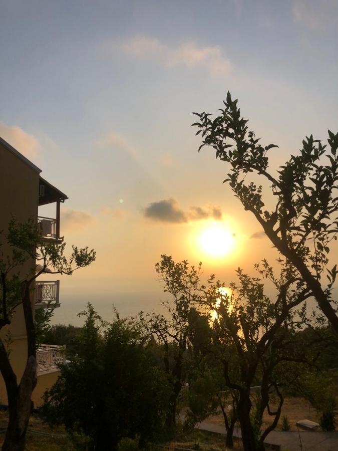 Brentanos - A - View Of Paradise